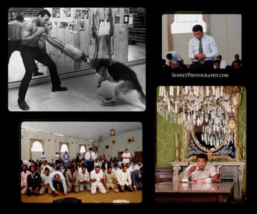 Collage: Muhammad Ali